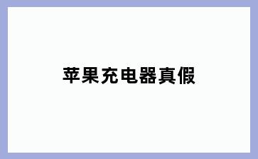 苹果充电器真假
