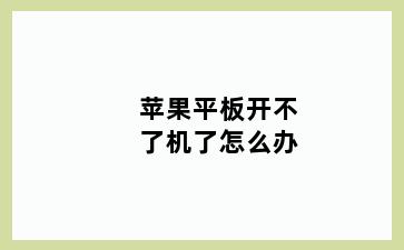 苹果平板开不了机了怎么办
