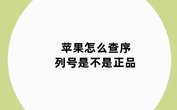 苹果怎么查序列号是不是正品