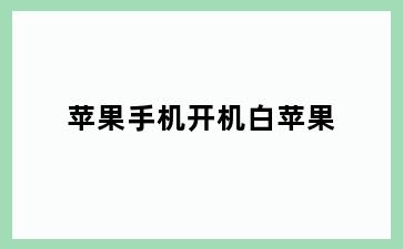 苹果手机开机白苹果