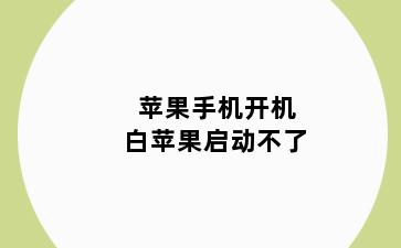 苹果手机开机白苹果启动不了