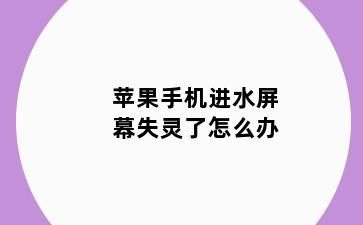 苹果手机进水屏幕失灵了怎么办