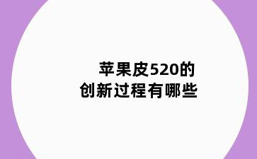 苹果皮520的创新过程有哪些