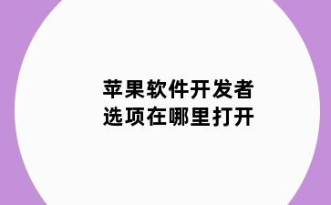 苹果软件开发者选项在哪里打开