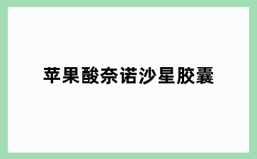 苹果酸奈诺沙星胶囊