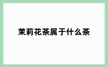 茉莉花茶属于什么茶