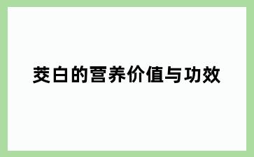 茭白的营养价值与功效