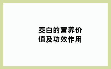 茭白的营养价值及功效作用
