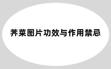 荠菜图片功效与作用禁忌
