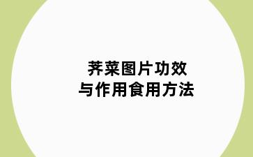 荠菜图片功效与作用食用方法