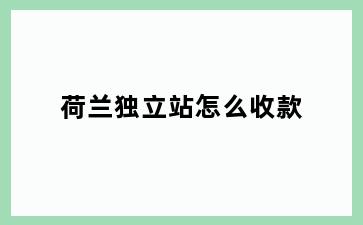 荷兰独立站怎么收款