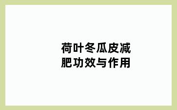 荷叶冬瓜皮减肥功效与作用