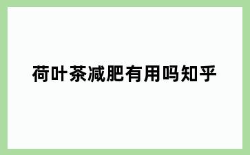 荷叶茶减肥有用吗知乎
