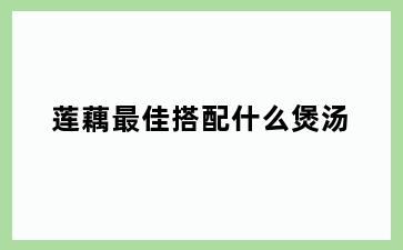 莲藕最佳搭配什么煲汤