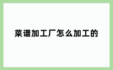 菜谱加工厂怎么加工的
