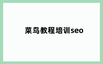 菜鸟教程培训seo