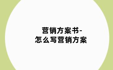 营销方案书-怎么写营销方案