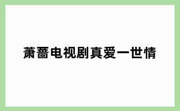 萧蔷电视剧真爱一世情