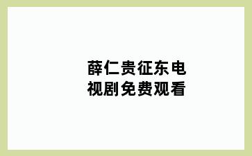 薛仁贵征东电视剧免费观看