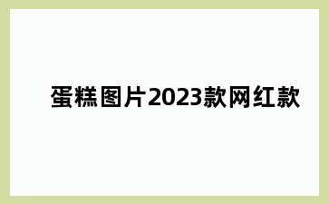 蛋糕图片2023款网红款