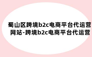 蜀山区跨境b2c电商平台代运营网站-跨境b2c电商平台代运营网站有哪些