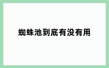 蜘蛛池到底有没有用