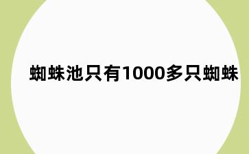 蜘蛛池只有1000多只蜘蛛