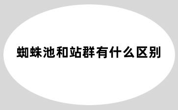 蜘蛛池和站群有什么区别