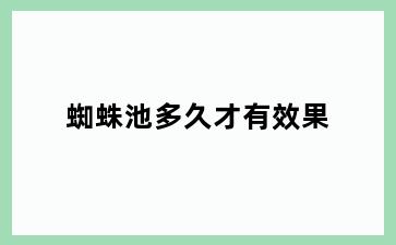蜘蛛池多久才有效果