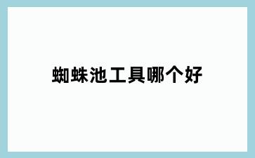 蜘蛛池工具哪个好