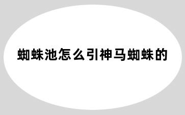 蜘蛛池怎么引神马蜘蛛的