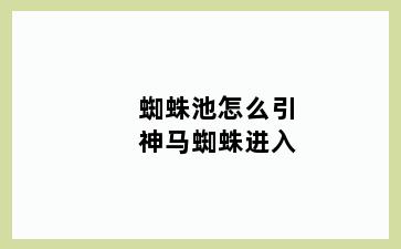 蜘蛛池怎么引神马蜘蛛进入