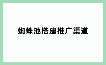 蜘蛛池搭建推广渠道