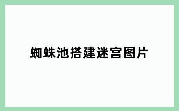 蜘蛛池搭建迷宫图片