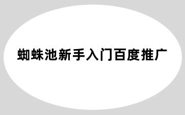 蜘蛛池新手入门百度推广