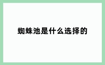 蜘蛛池是什么选择的