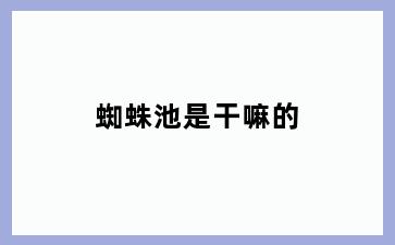 蜘蛛池是干嘛的