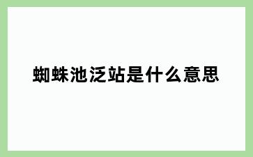 蜘蛛池泛站是什么意思