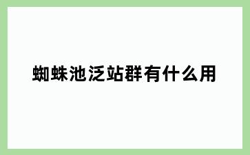 蜘蛛池泛站群有什么用