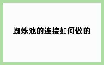 蜘蛛池的连接如何做的