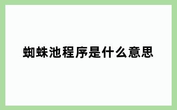 蜘蛛池程序是什么意思