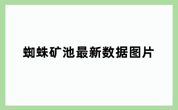 蜘蛛矿池最新数据图片