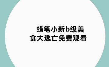 蜡笔小新b级美食大逃亡免费观看