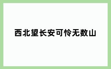 西北望长安可怜无数山