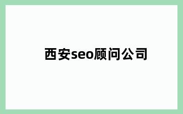西安seo顾问公司
