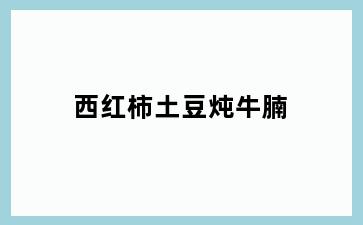 西红柿土豆炖牛腩