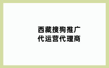 西藏搜狗推广代运营代理商