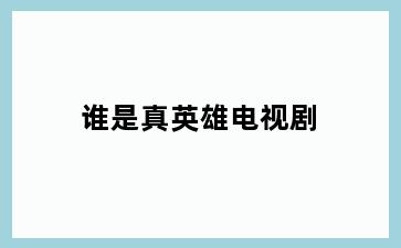 谁是真英雄电视剧