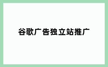 谷歌广告独立站推广