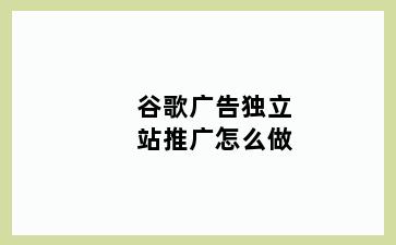 谷歌广告独立站推广怎么做